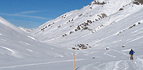 cai gallarate