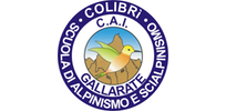 cai gallarate